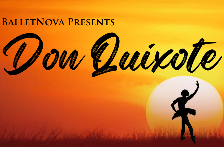 More Info for Don Quixote